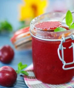 Fast Growing Trees Plum Trees Santa Rosa Plum Tree