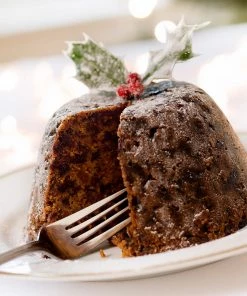 Fast Growing Trees Plum Trees Satsuma Plum Tree