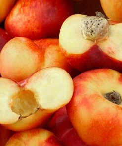 Fast Growing Trees Saturn Peach Tree Peach Trees