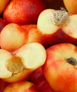 Fast Growing Trees Donut Saturn Peach Tree See All Fruit Trees