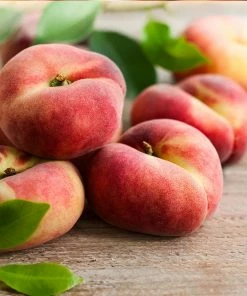 Fast Growing Trees Donut Saturn Peach Tree See All Fruit Trees