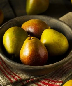 Fast Growing Trees Seckel Pear Tree Pear Trees