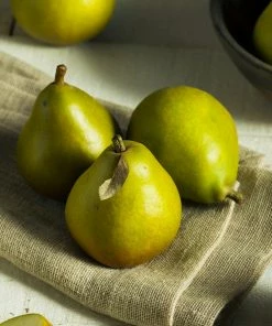 Fast Growing Trees Seckel Pear Tree Pear Trees 10 Fast Growing Trees Seckel Pear Tree Pear Trees