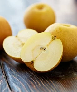 Fast Growing Trees Shinseiki Asian Pear Pear Trees