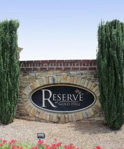 Fast Growing Trees Sky Pencil Holly Tree Holly Trees