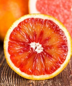 Fast Growing Trees Citrus Trees Smith Red Orange