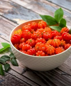 Fast Growing Trees Star Cherry Tree (Pitanga) Cherry Trees