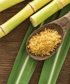 Fast Growing Trees Sugar Cane