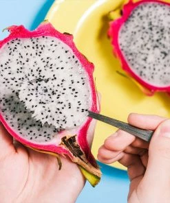 Fast Growing Trees Healthy Superfoods Kit