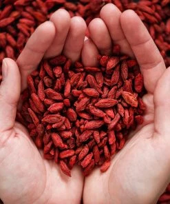 Fast Growing Trees Healthy Superfoods Kit