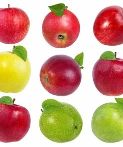 Fast Growing Trees 5-in-1 Apple Surprise Tree Apple Trees