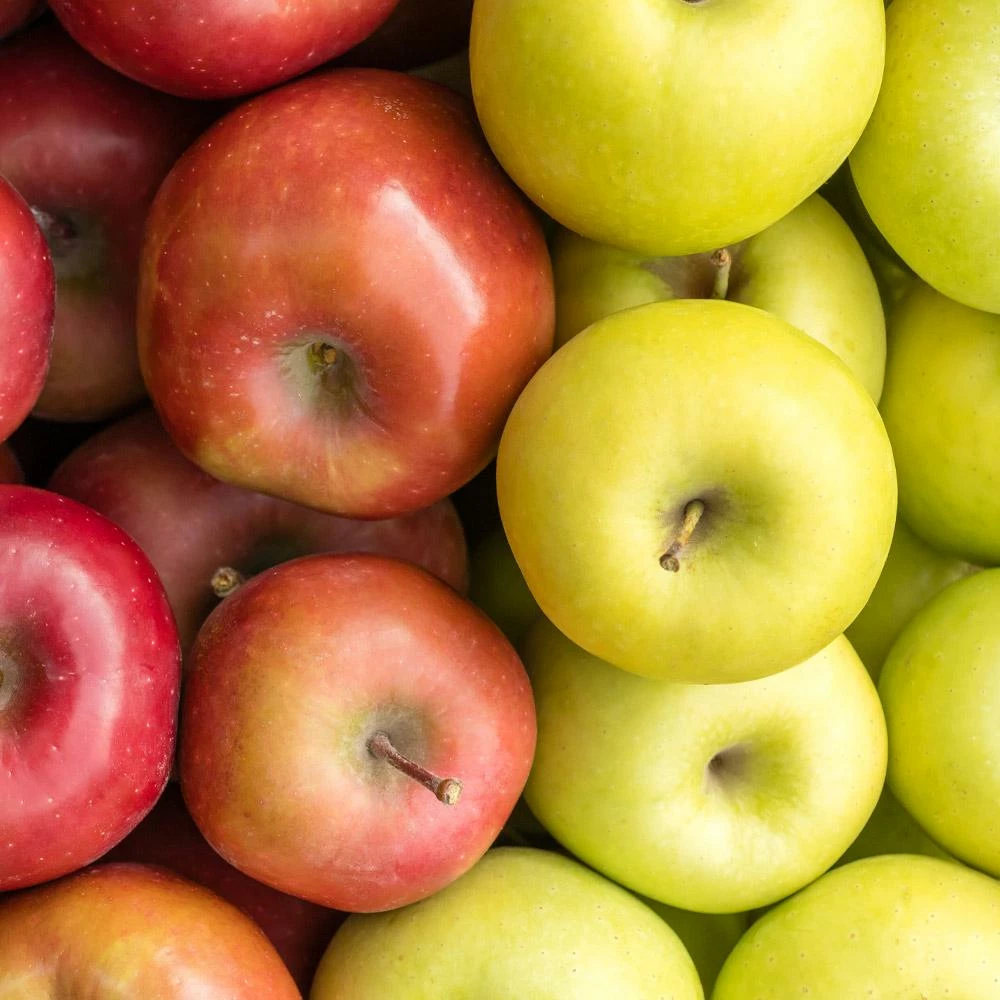 Fast Growing Trees 5-in-1 Apple Surprise Tree Apple Trees 5 Fast Growing Trees 5-in-1 Apple Surprise Tree Apple Trees