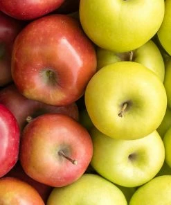 Fast Growing Trees 2-in-1 Apple Surprise Tree