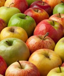 Fast Growing Trees 2-in-1 Apple Surprise Tree