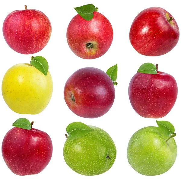 Fast Growing Trees 5-in-1 Apple Surprise Tree Apple Trees 3 Fast Growing Trees 5-in-1 Apple Surprise Tree Apple Trees