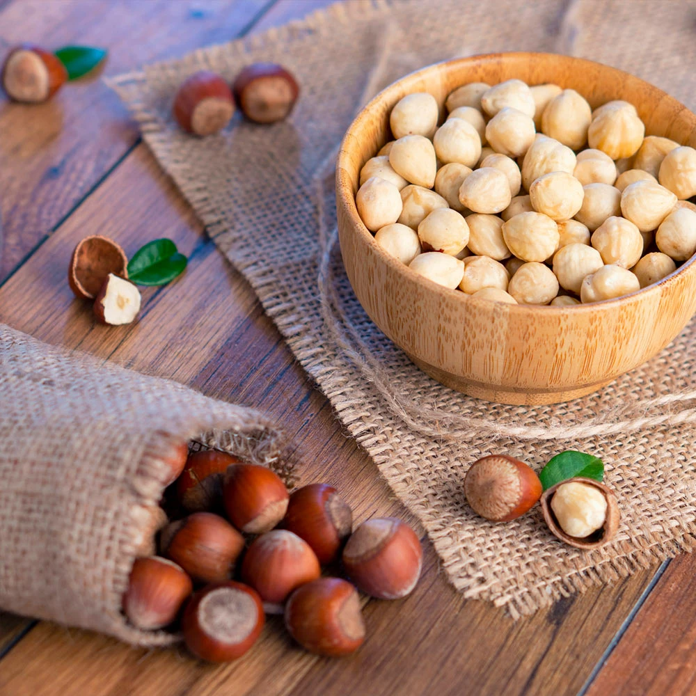 Fast Growing Trees Nut Trees Theta Filbert Hazelnut 5 Fast Growing Trees Nut Trees Theta Filbert Hazelnut