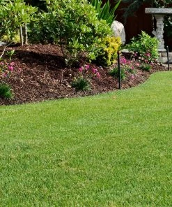 Fast Growing Trees TurboTurf™ Tall Fescue Grass Seed Erosion Control 8 Fast Growing Trees TurboTurf™ Tall Fescue Grass Seed Erosion Control