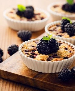 Fast Growing Trees Blackberry Bushes Thornless Blackberry