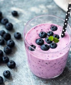 Fast Growing Trees Blueberry Bushes Tifblue Blueberry Bush