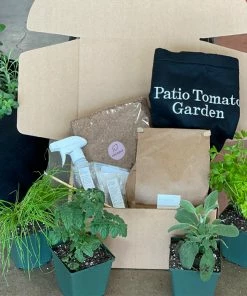 Fast Growing Trees Shop Indoor & Patio Fruit Patio Tomato Garden