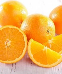 Fast Growing Trees Citrus Trees Trovita Orange Tree