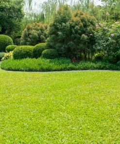 Fast Growing Trees TurboTurf™ Bermudagrass Seed Erosion Control