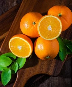 Fast Growing Trees Valencia Orange Tree Citrus Trees