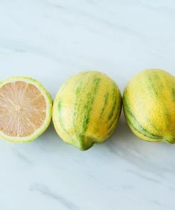 Fast Growing Trees Citrus Trees Pink Variegated Eureka Lemon Bush