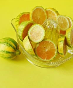 Fast Growing Trees Pink Variegated Eureka Lemon Tree 11 Fast Growing Trees Pink Variegated Eureka Lemon Tree