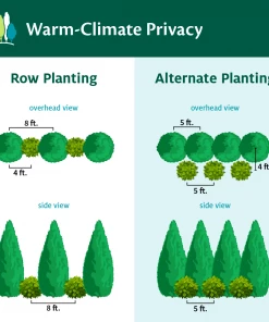 Fast Growing Trees See All House & Patio Warm-Climate Privacy Kit 9 Fast Growing Trees See All House & Patio Warm-Climate Privacy Kit
