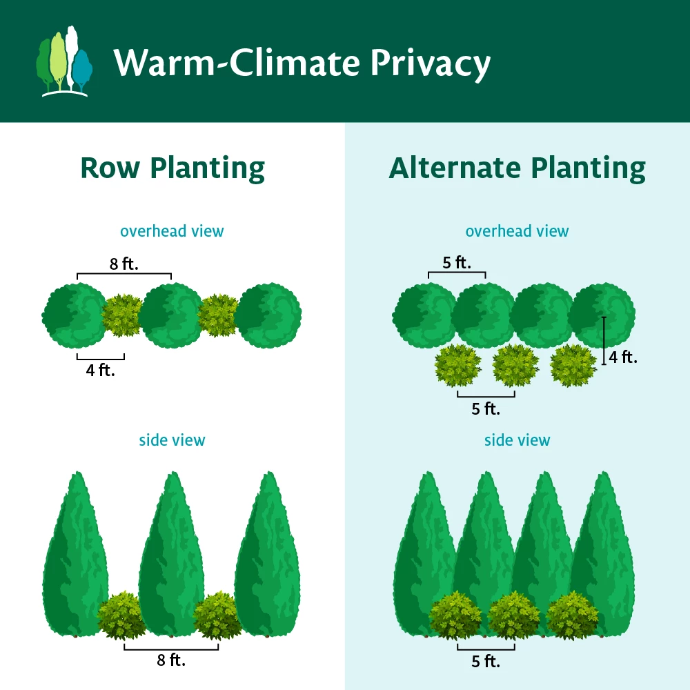 Fast Growing Trees See All House & Patio Warm-Climate Privacy Kit 5 Fast Growing Trees See All House & Patio Warm-Climate Privacy Kit