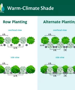 Fast Growing Trees Full Landscape Kits For Any Climate Warm-Climate Shade Garden Kit