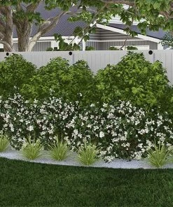 Fast Growing Trees Full Landscape Kits For Any Climate Warm-Climate Shade Garden Kit