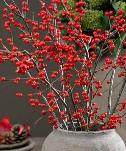 Fast Growing Trees Winter Red Winterberry Holly Shrub