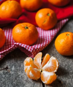 Fast Growing Trees Yosemite Gold Mandarin Tree Citrus Trees