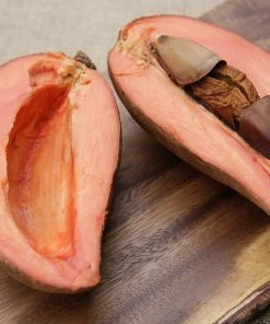 Fast Growing Trees Mamey Fruit Tree (Sapote) Tropical Fruit Trees