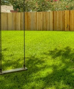 Fast Growing Trees Erosion Control TurboTurf™ Sun & Shade Grass Seed