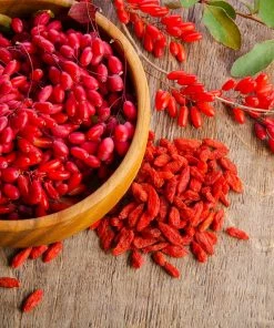 Fast Growing Trees See All Fruit Trees Sweet Lifeberry® Goji Berry