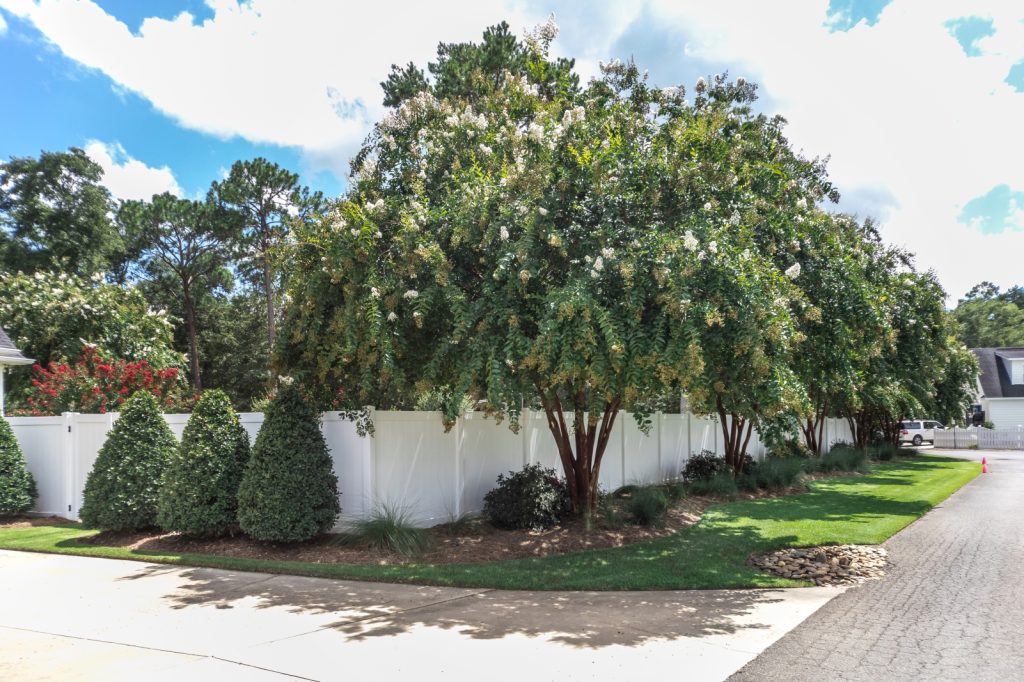 FastGrowingTrees Sales 44 FastGrowingTrees Sales -FastGrowingTrees Sales 115